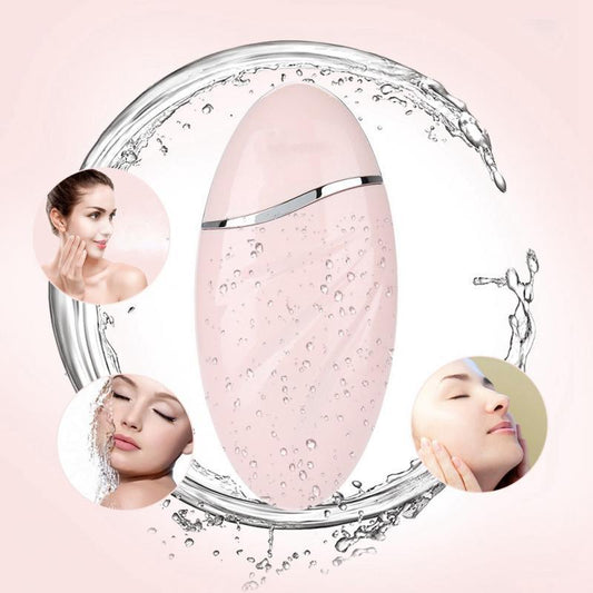 Portable Nano Mist Sprayer & Facial Steamer