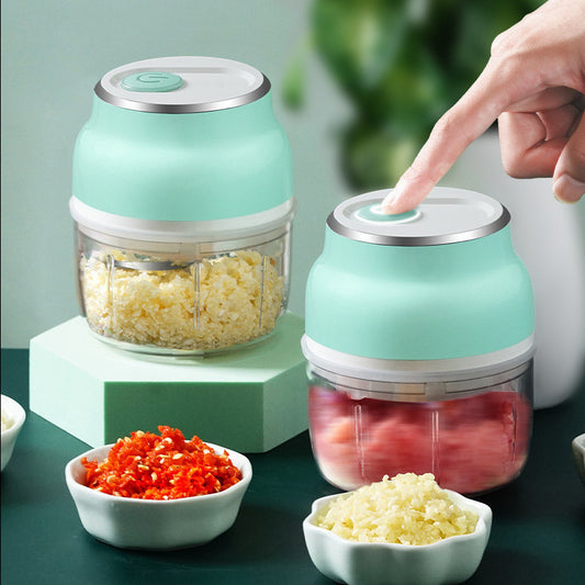 Mini Electric Food Chopper & Garlic Grinder